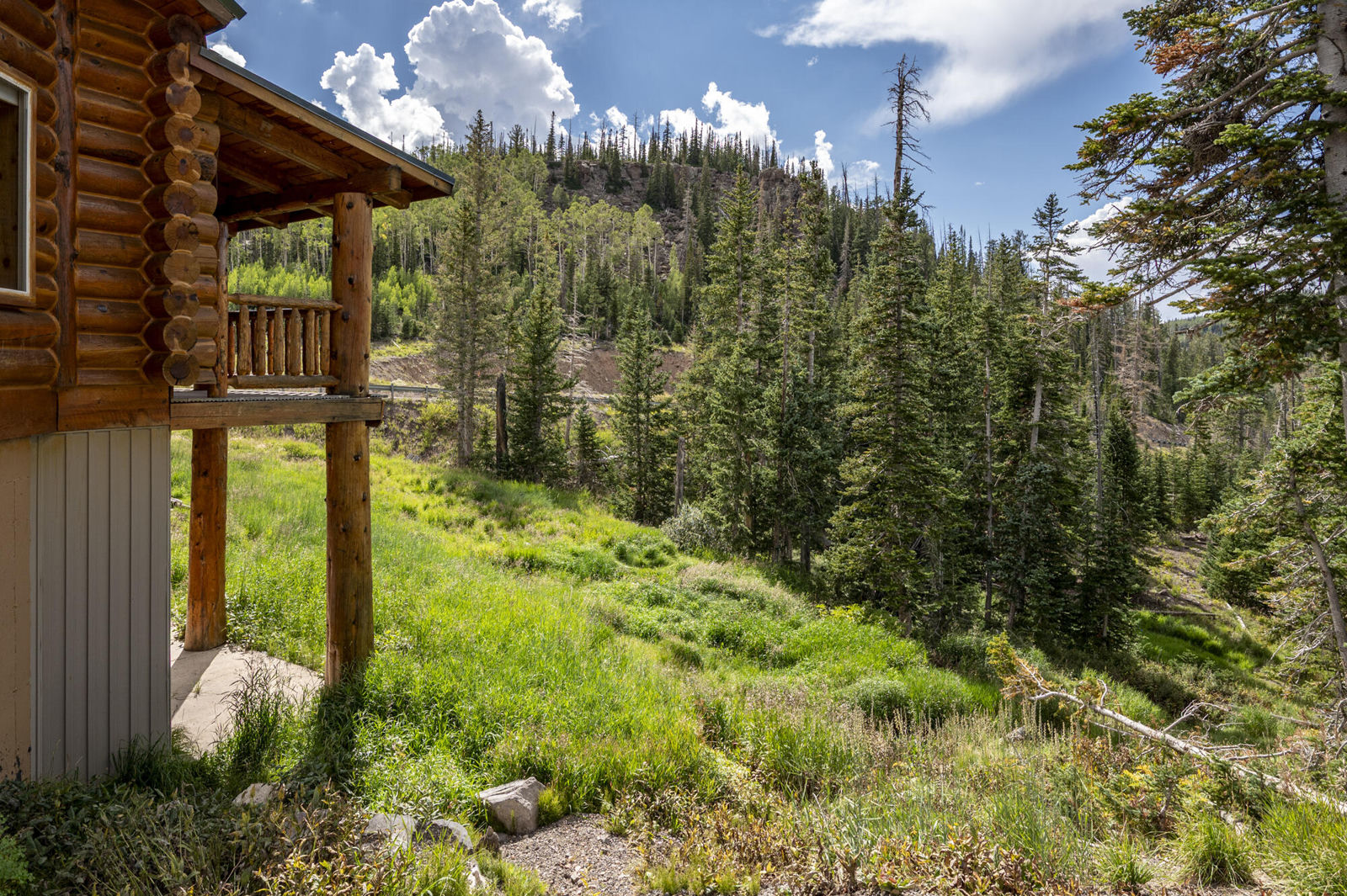 1074 S Bristlecone LN, Brian Head, photo 85 of 103