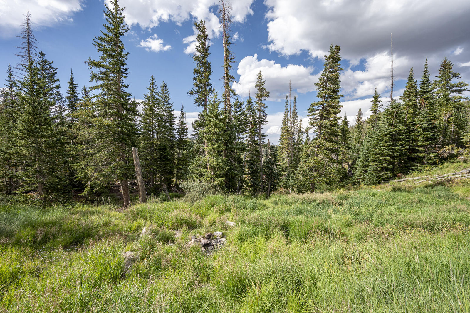 1074 S Bristlecone LN, Brian Head, photo 86 of 103