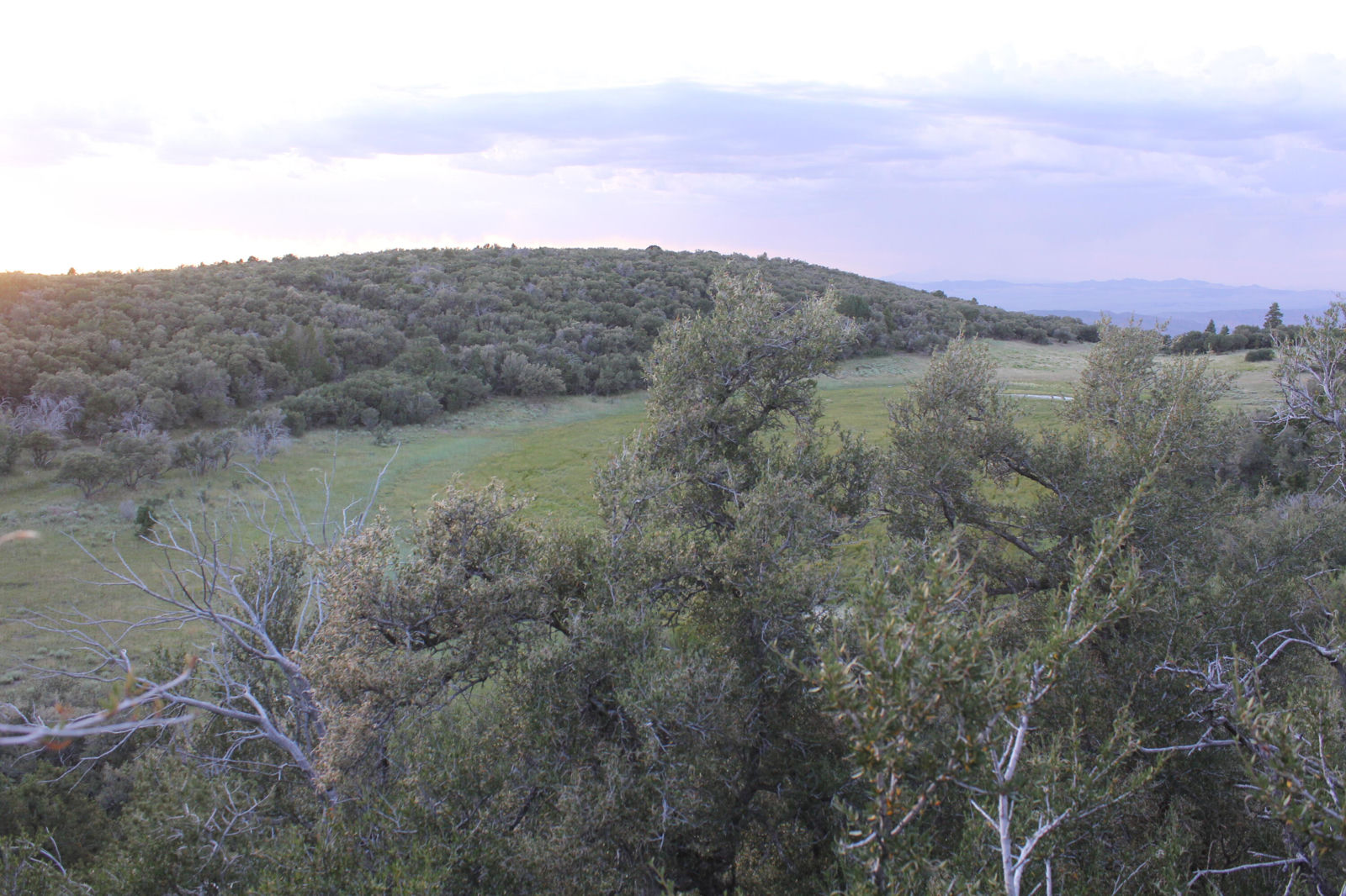 72.88 Acres Summit Canyon RD, Summit, photo 26 of 44
