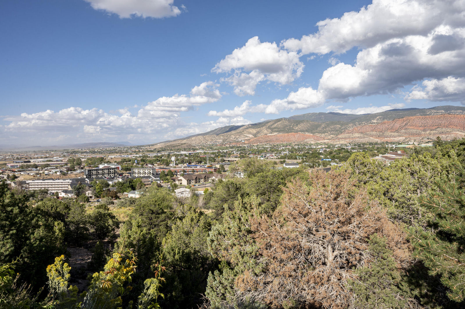 53 S 2050 W, Cedar City, photo 54 of 74