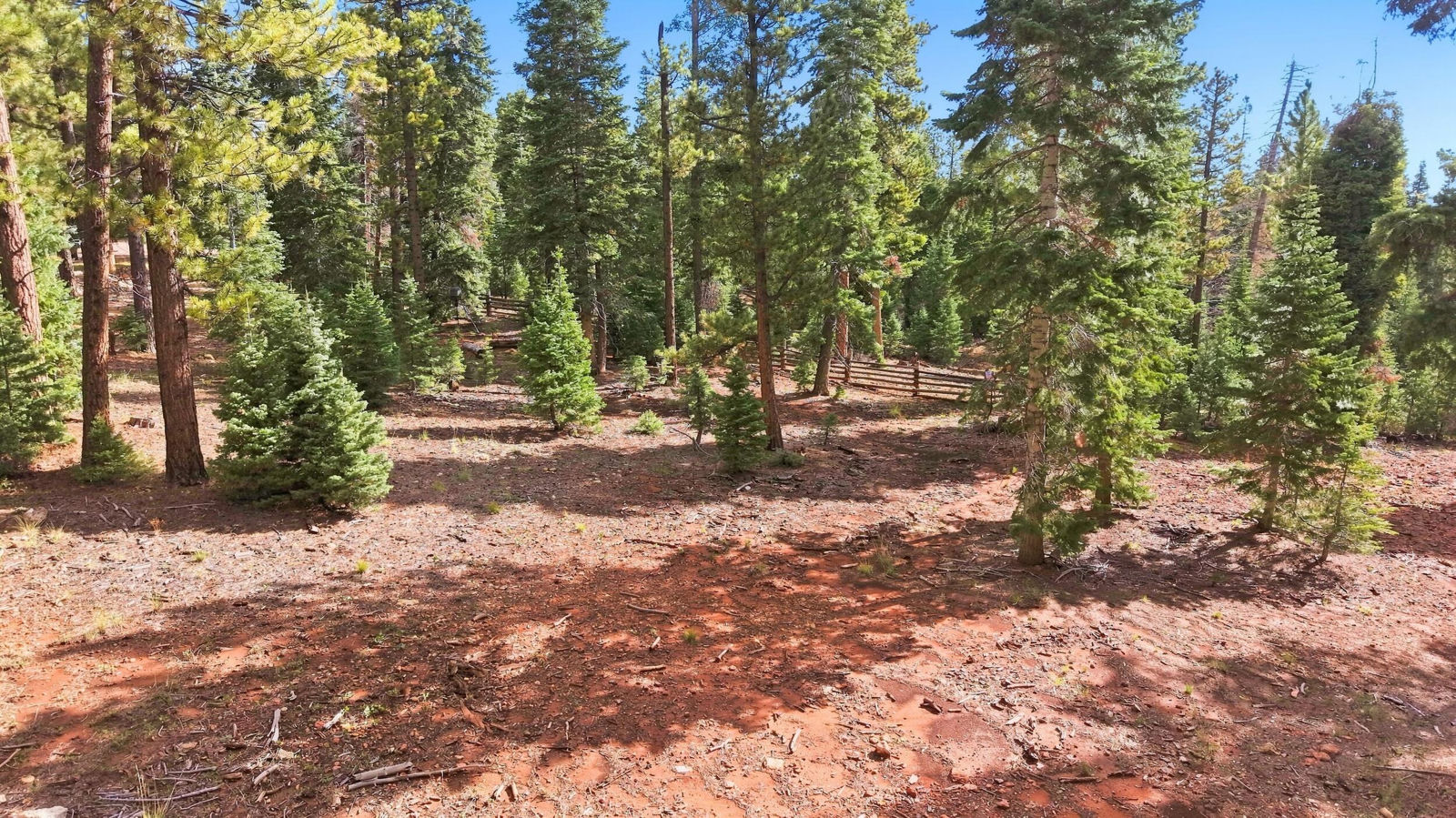 2970 N Willis Creek RD, Duck Creek Village, photo 9 of 18