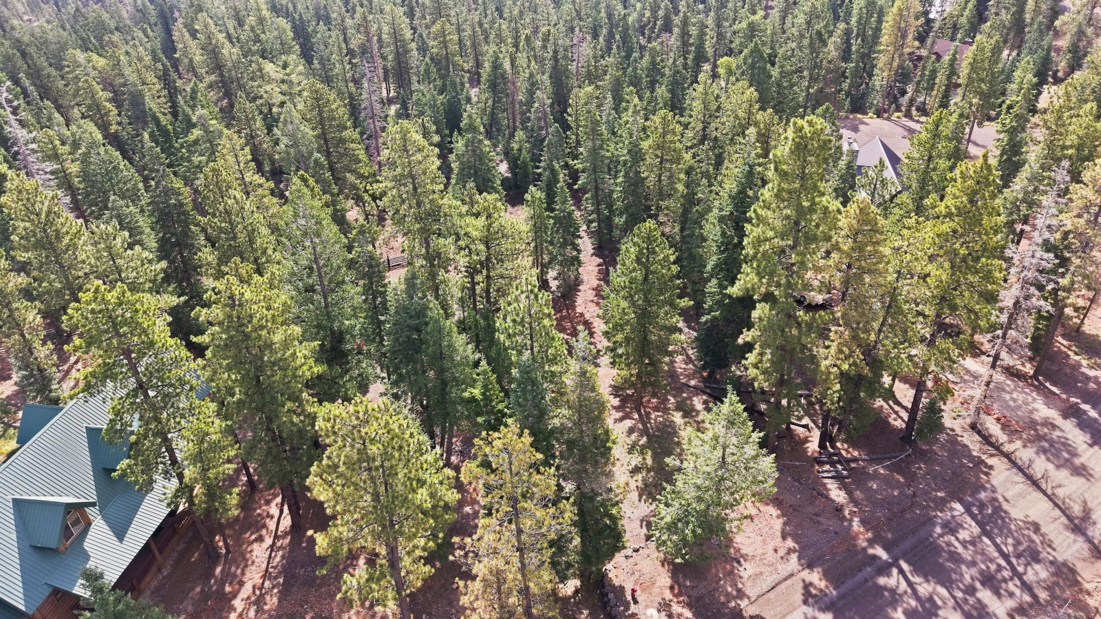 2970 N Willis Creek RD, Duck Creek Village, photo 11 of 18