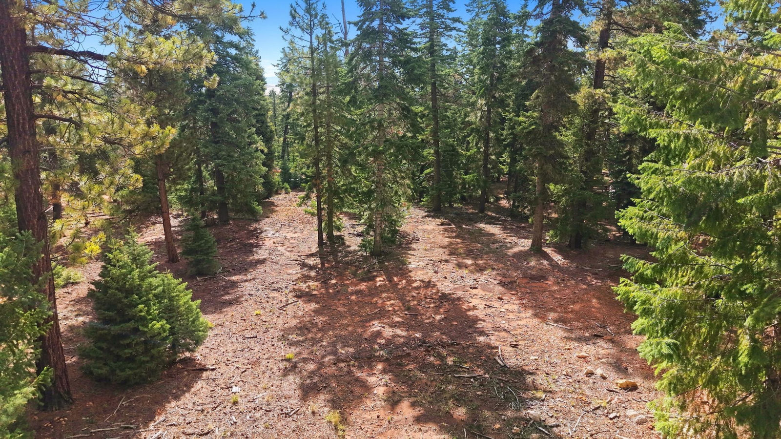 2970 N Willis Creek RD, Duck Creek Village, photo 13 of 18