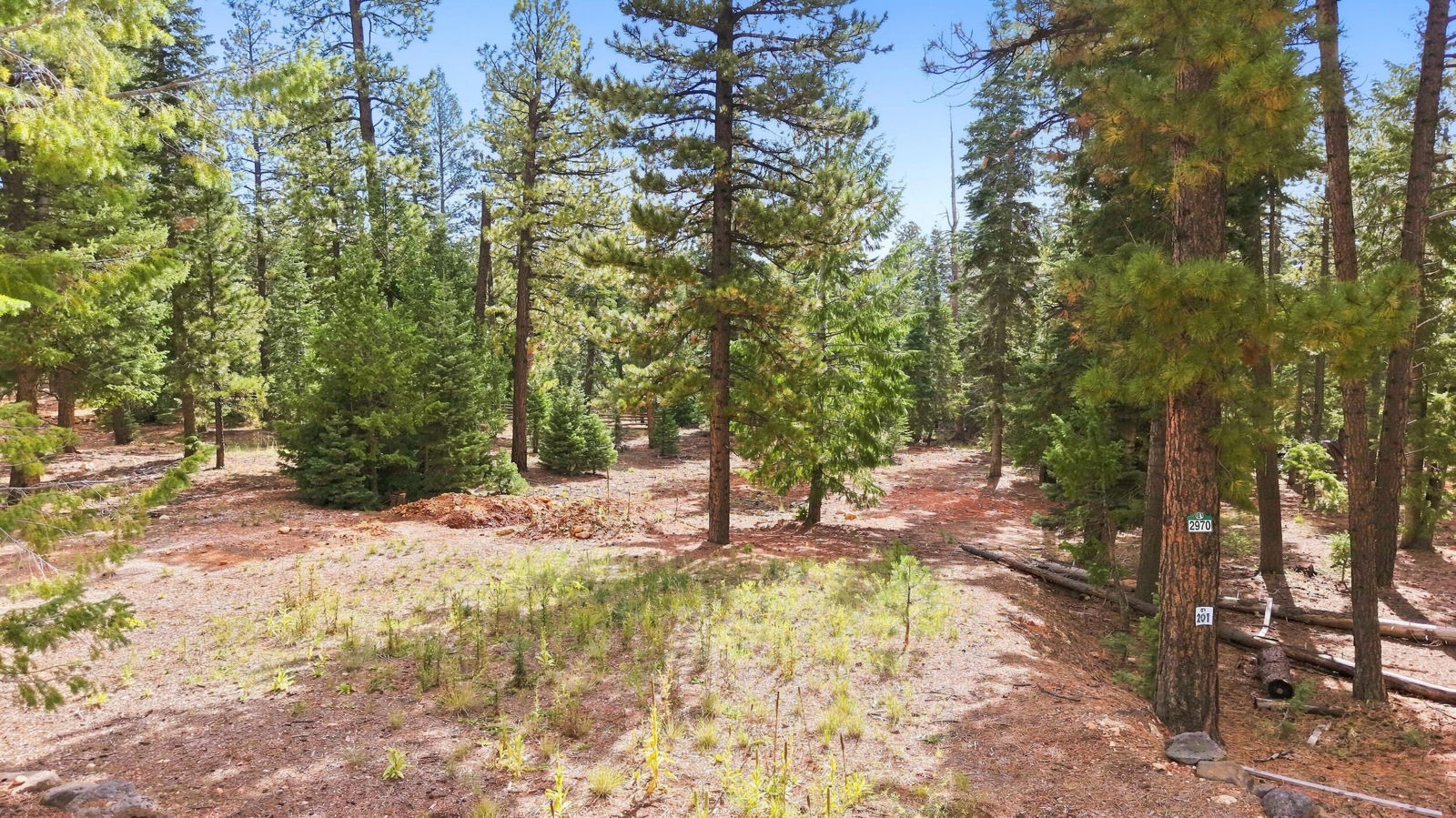 2970 N Willis Creek RD, Duck Creek Village, photo 14 of 18