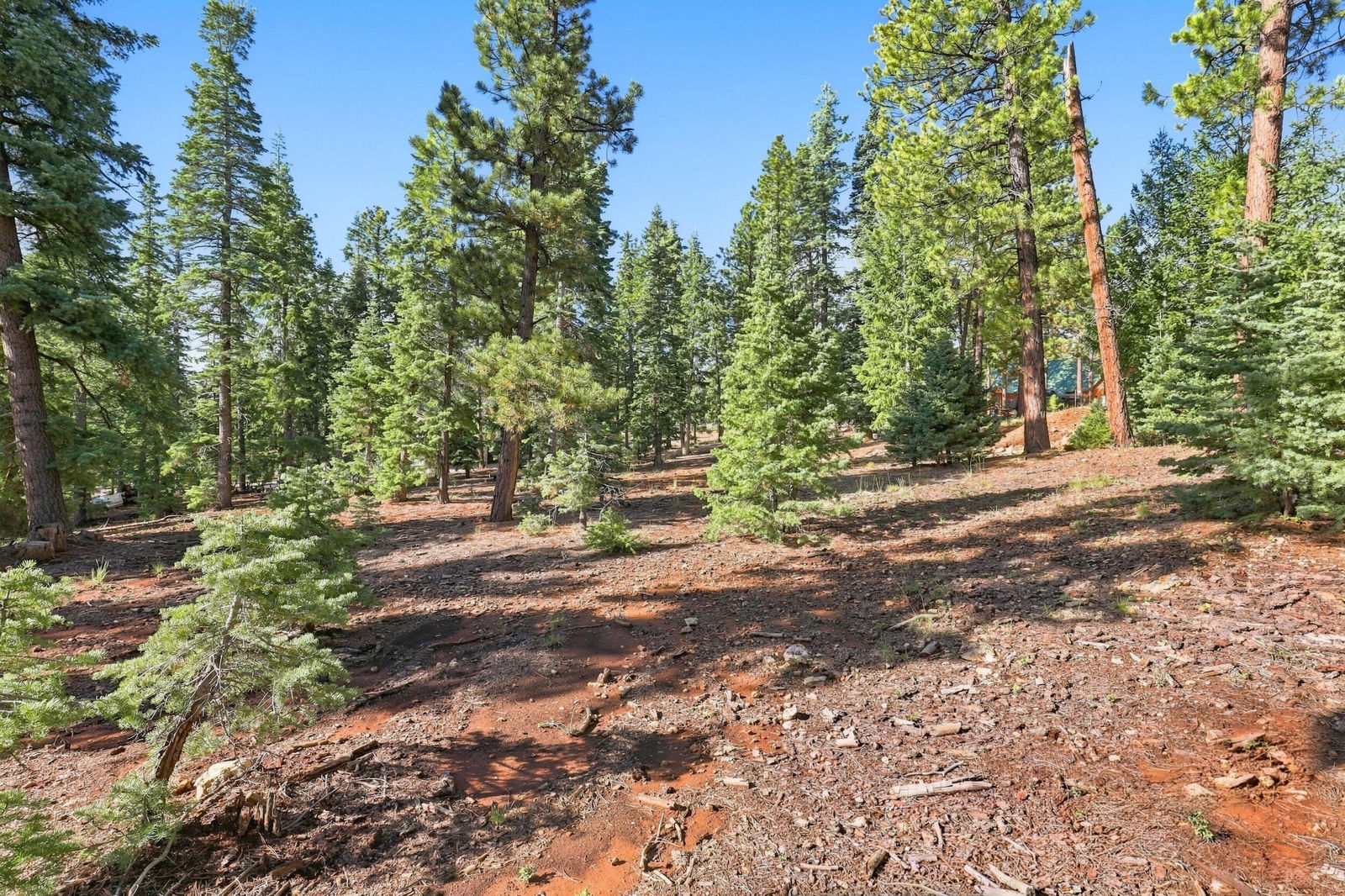 2970 N Willis Creek RD, Duck Creek Village, photo 15 of 18