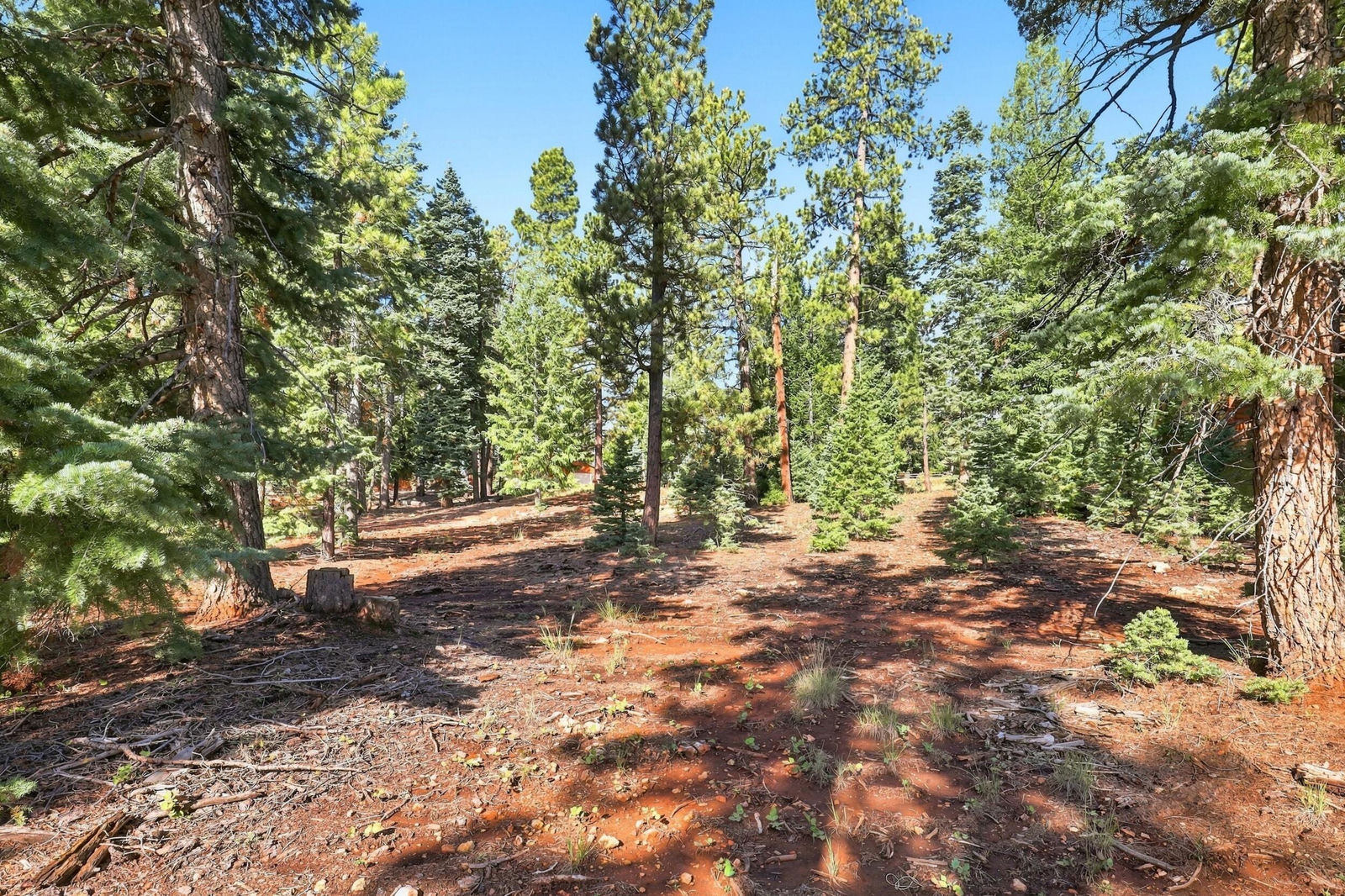 2970 N Willis Creek RD, Duck Creek Village, photo 18 of 18