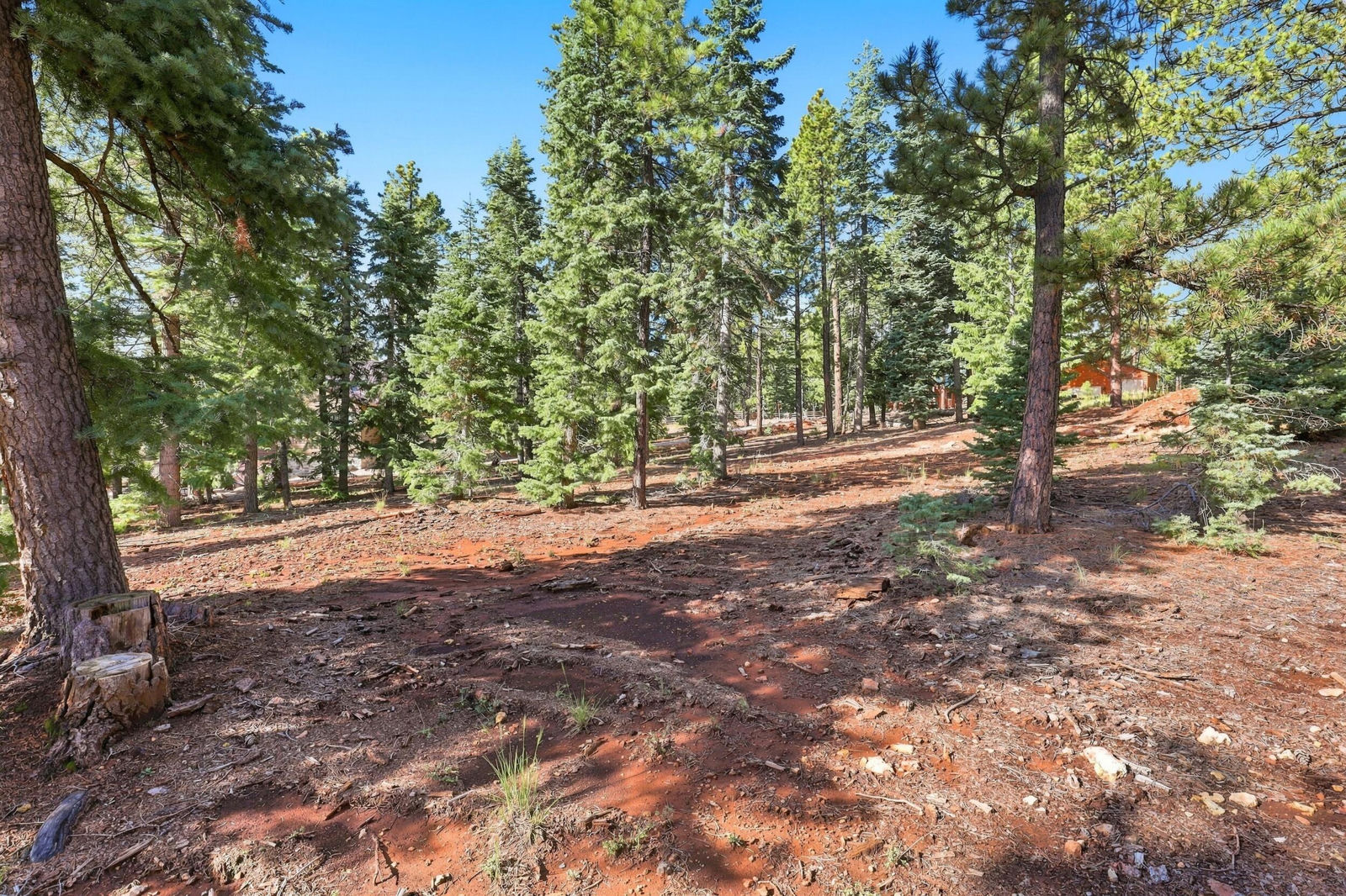 2970 N Willis Creek RD, Duck Creek Village, photo 6 of 18