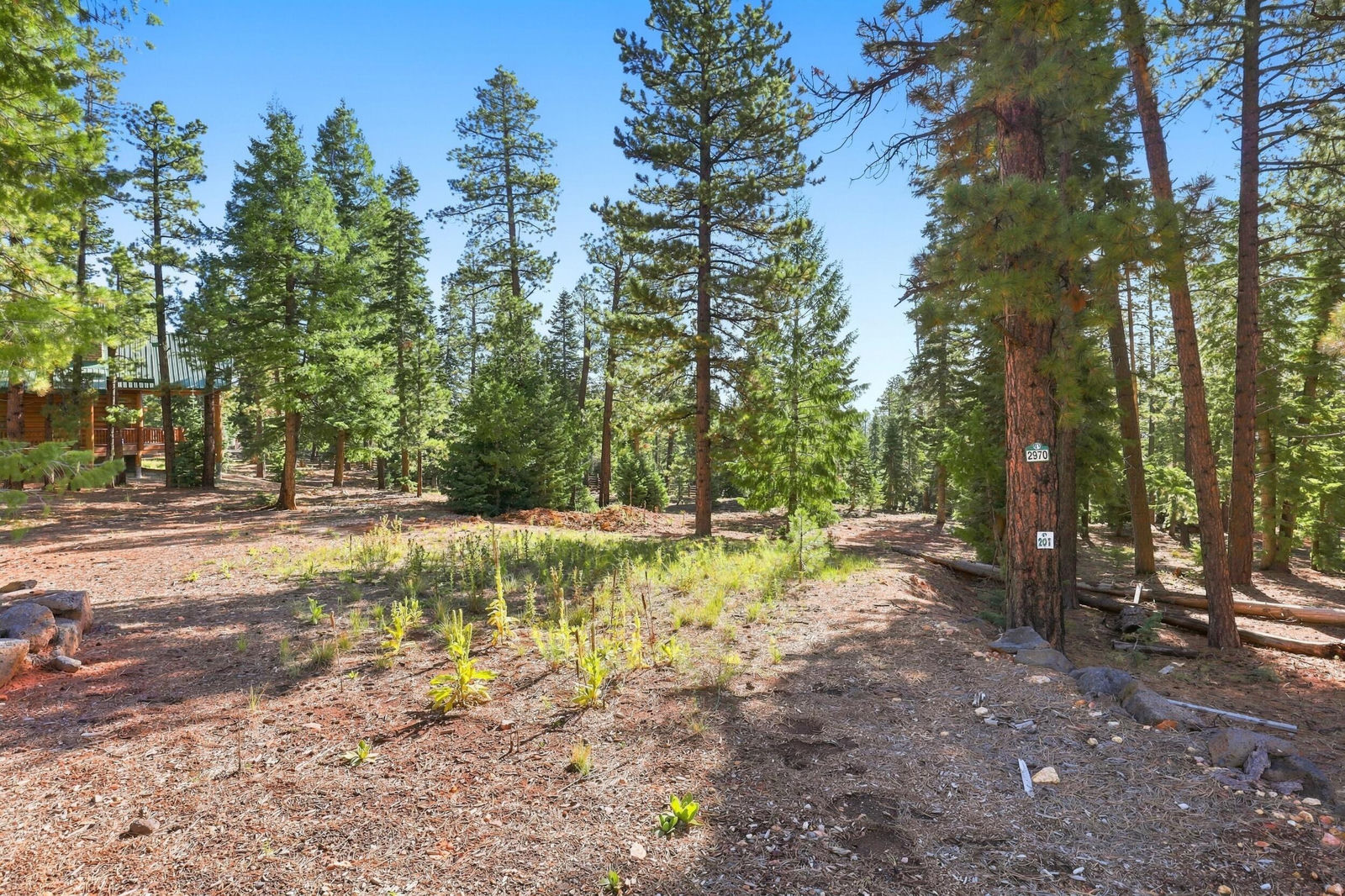 2970 N Willis Creek RD, Duck Creek Village, photo 5 of 18