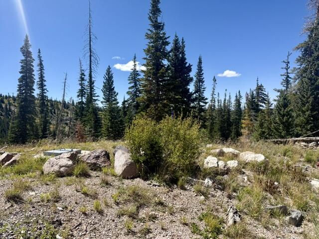 578 E Boulder Way, L2/BB/SHE/UA, Brian Head, photo 3