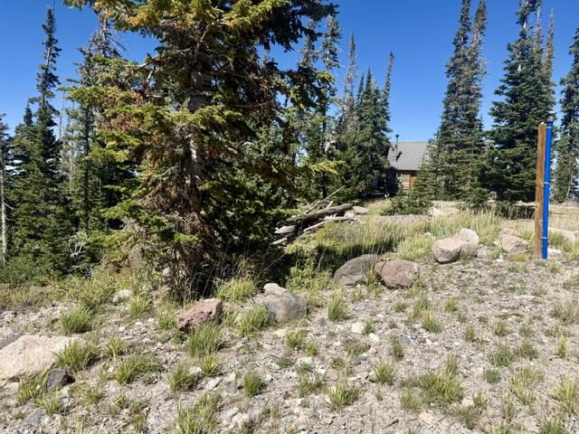 578 E Boulder Way, L2/BB/SHE/UA, Brian Head, photo 7 of 32