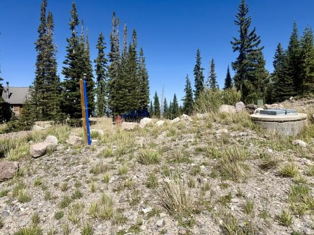 578 E Boulder Way, L2/BB/SHE/UA, Brian Head, photo 8 of 32