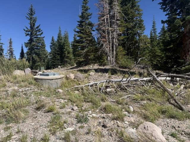 578 E Boulder Way, L2/BB/SHE/UA, Brian Head, photo 9 of 32