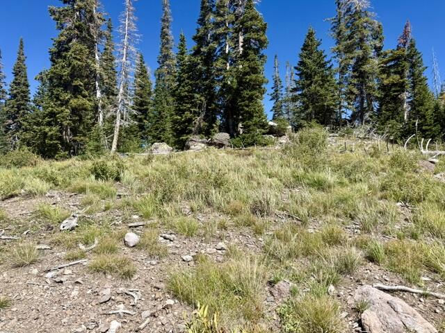 578 E Boulder Way, L2/BB/SHE/UA, Brian Head, photo 18 of 32