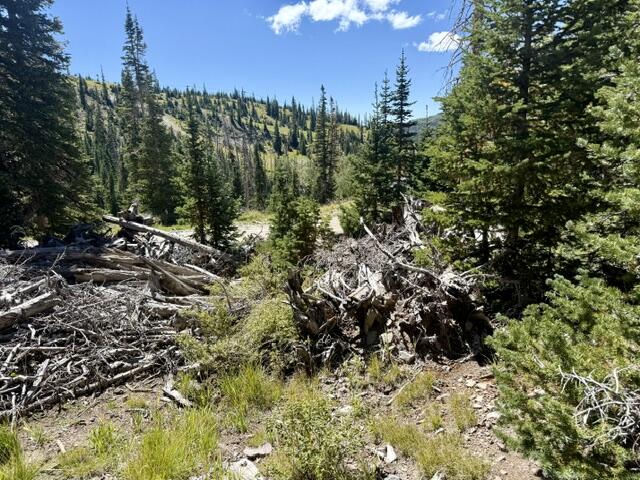 578 E Boulder Way, L2/BB/SHE/UA, Brian Head, photo 21 of 32