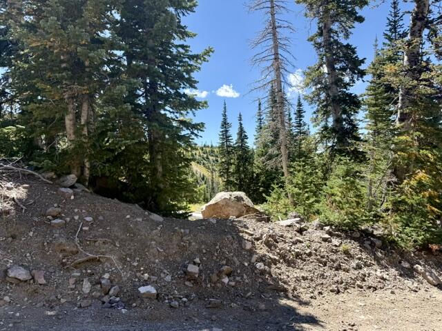 578 E Boulder Way, L2/BB/SHE/UA, Brian Head, photo 26 of 32