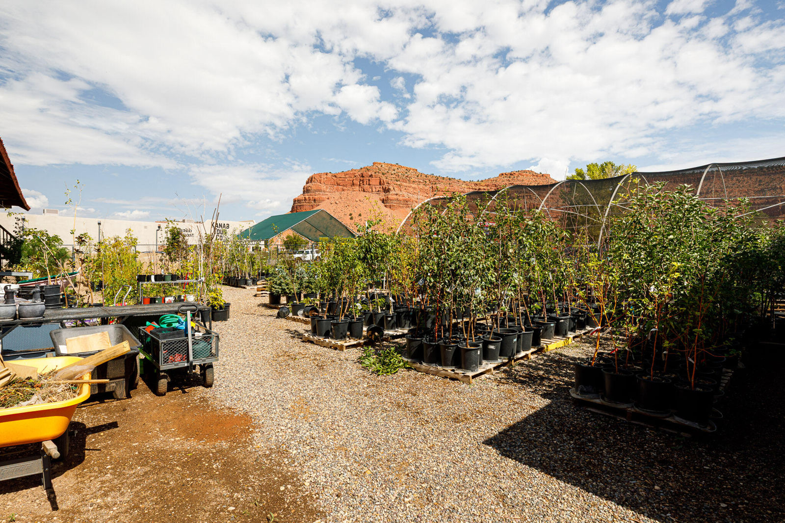 723 U.S. 89, Kanab, photo 53 of 61