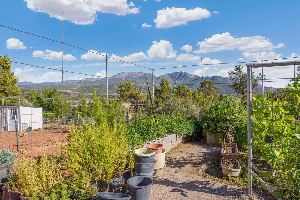 708 E Mule Deer RD, Central, photo 51 of 66
