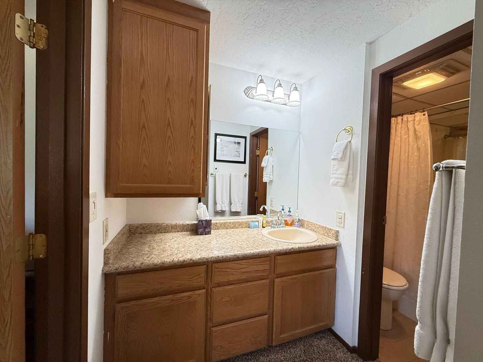 464 N North, B213, Brian Head, photo 13 of 29