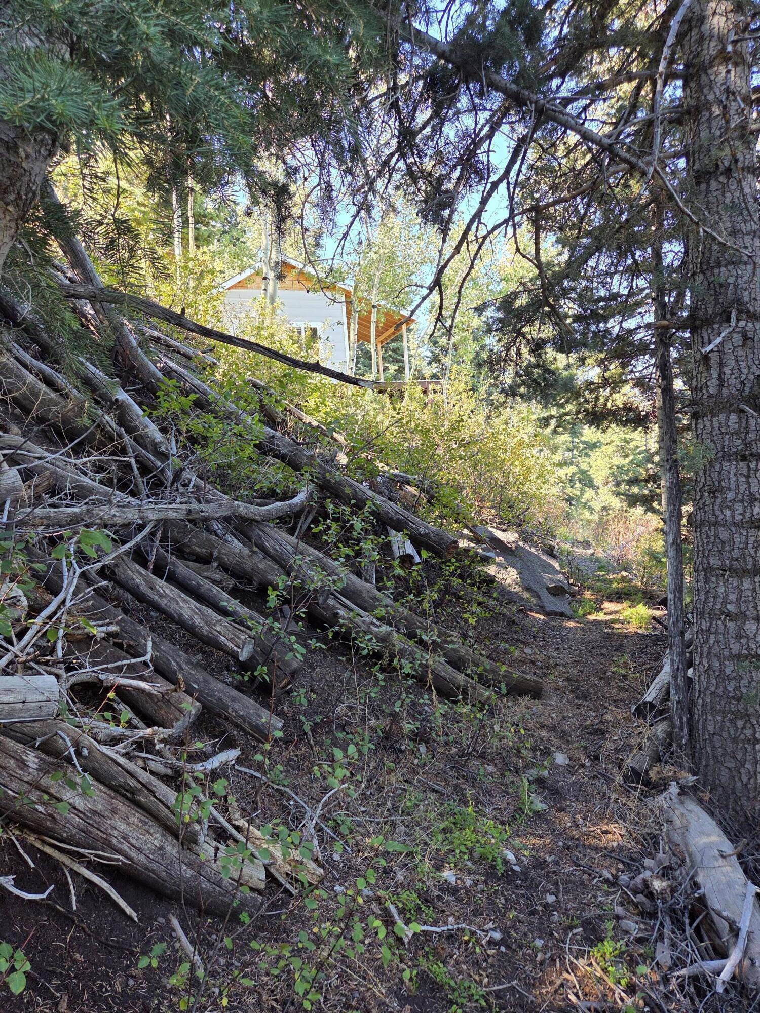 Lot 21 Braffits Creek 3200 Subdivisio, Lot 21, Summit, photo 11 of 24