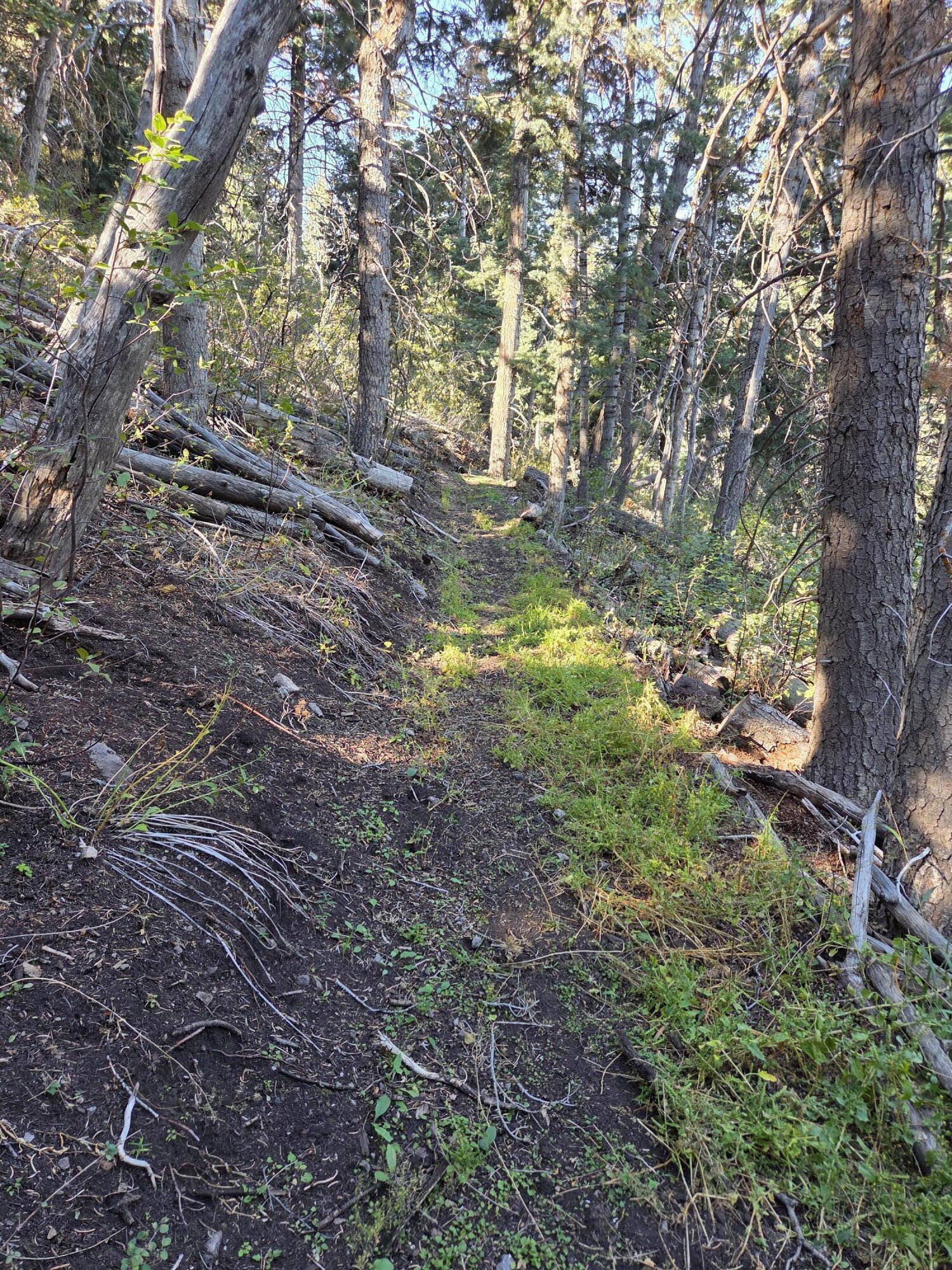 Lot 21 Braffits Creek 3200 Subdivisio, Lot 21, Summit, photo 12 of 24
