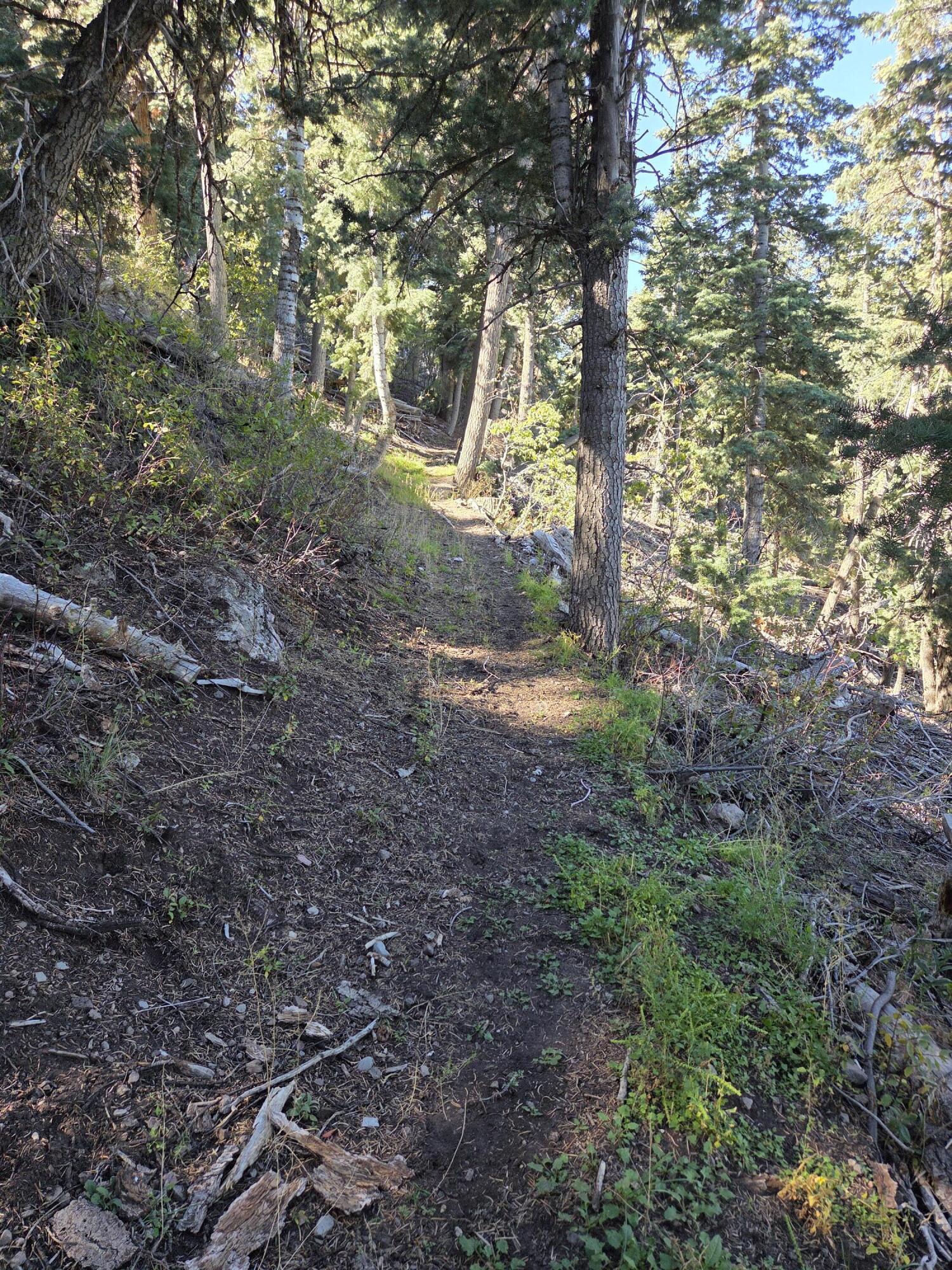 Lot 21 Braffits Creek 3200 Subdivisio, Lot 21, Summit, photo 14 of 24