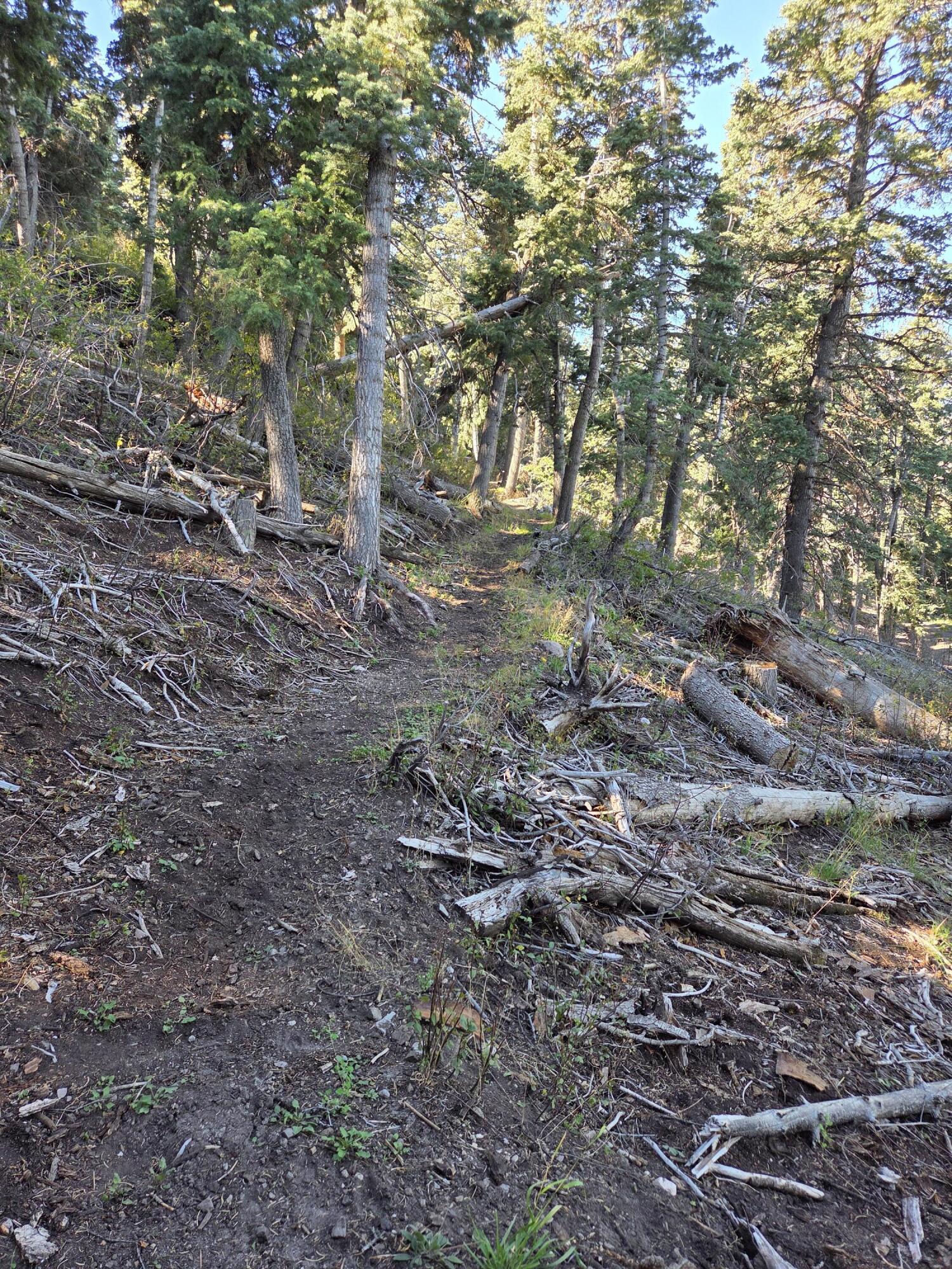 Lot 21 Braffits Creek 3200 Subdivisio, Lot 21, Summit, photo 15 of 24