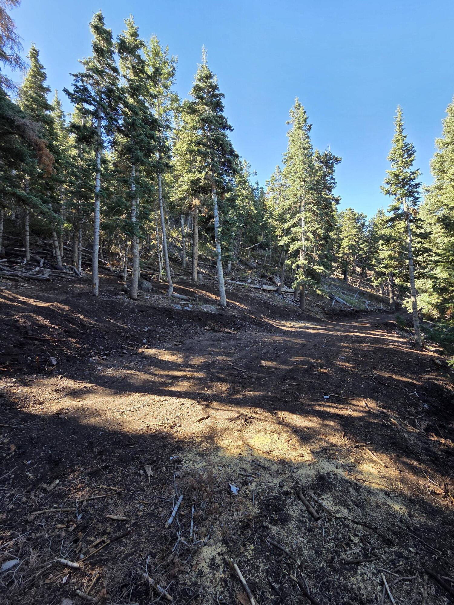 Lot 21 Braffits Creek 3200 Subdivisio, Lot 21, Summit, photo 17 of 24