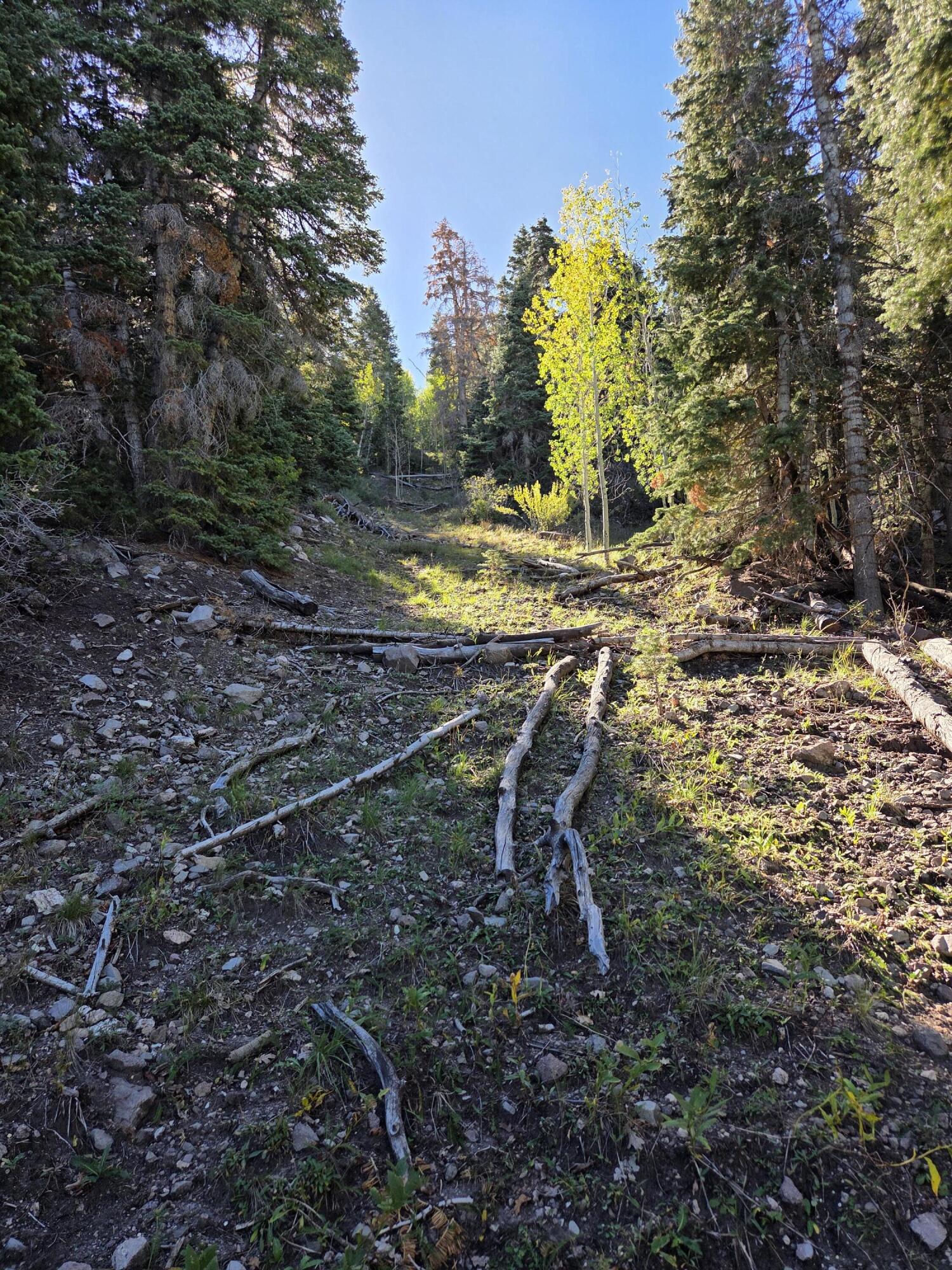 Lot 21 Braffits Creek 3200 Subdivisio, Lot 21, Summit, photo 16 of 24