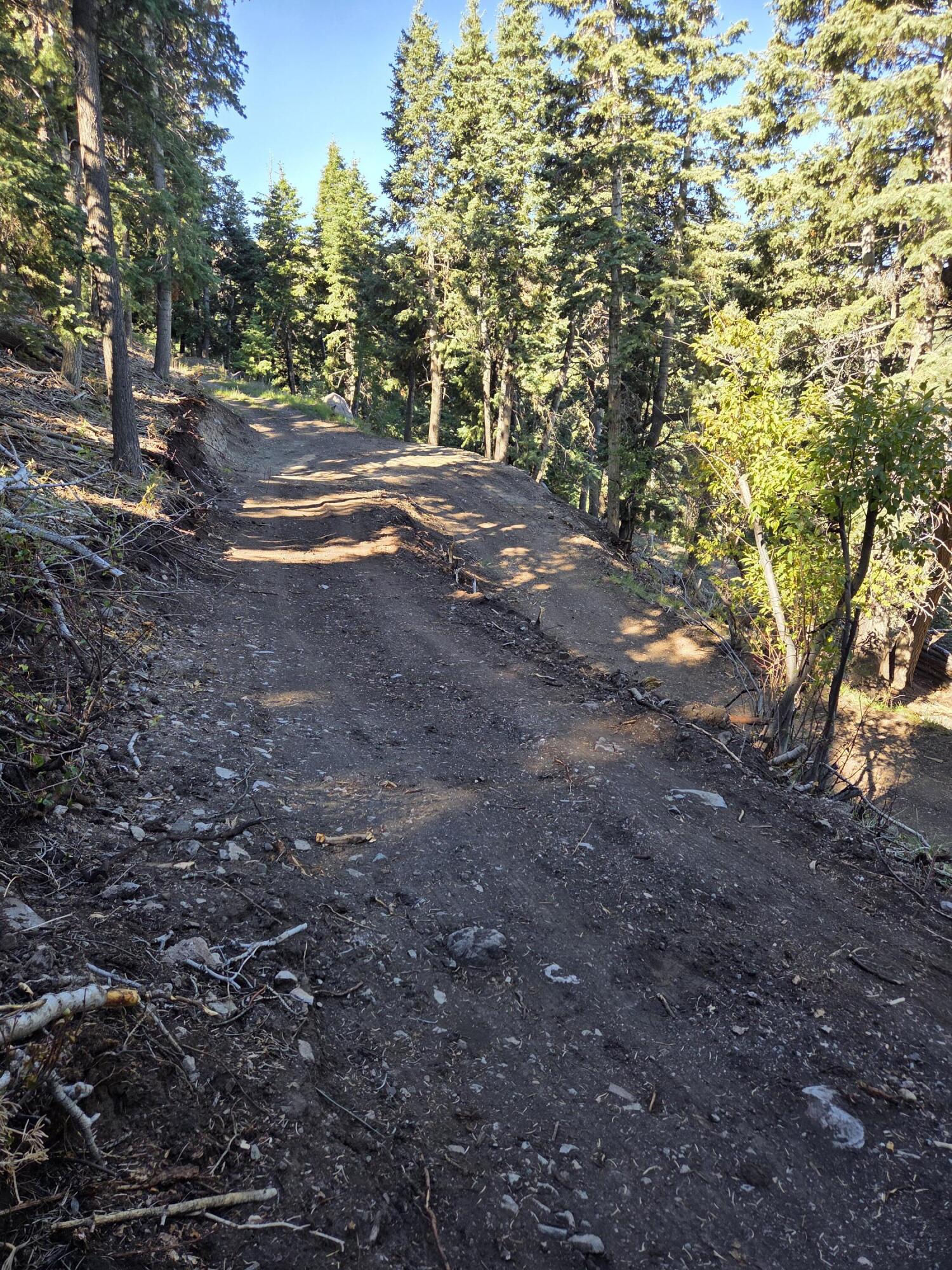 Lot 21 Braffits Creek 3200 Subdivisio, Lot 21, Summit, photo 18 of 24