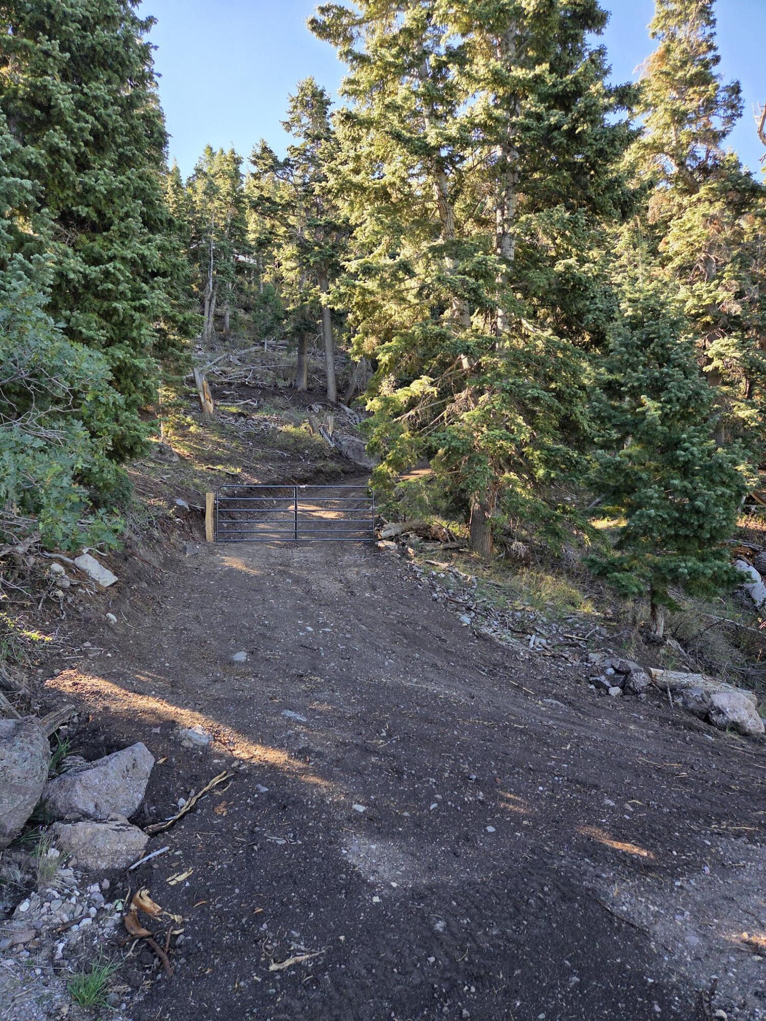 Lot 21 Braffits Creek 3200 Subdivisio, Lot 21, Summit, photo 19 of 24