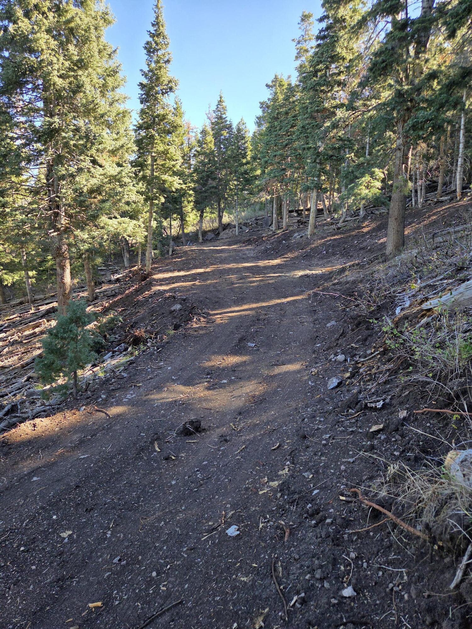 Lot 21 Braffits Creek 3200 Subdivisio, Lot 21, Summit, photo 20 of 24