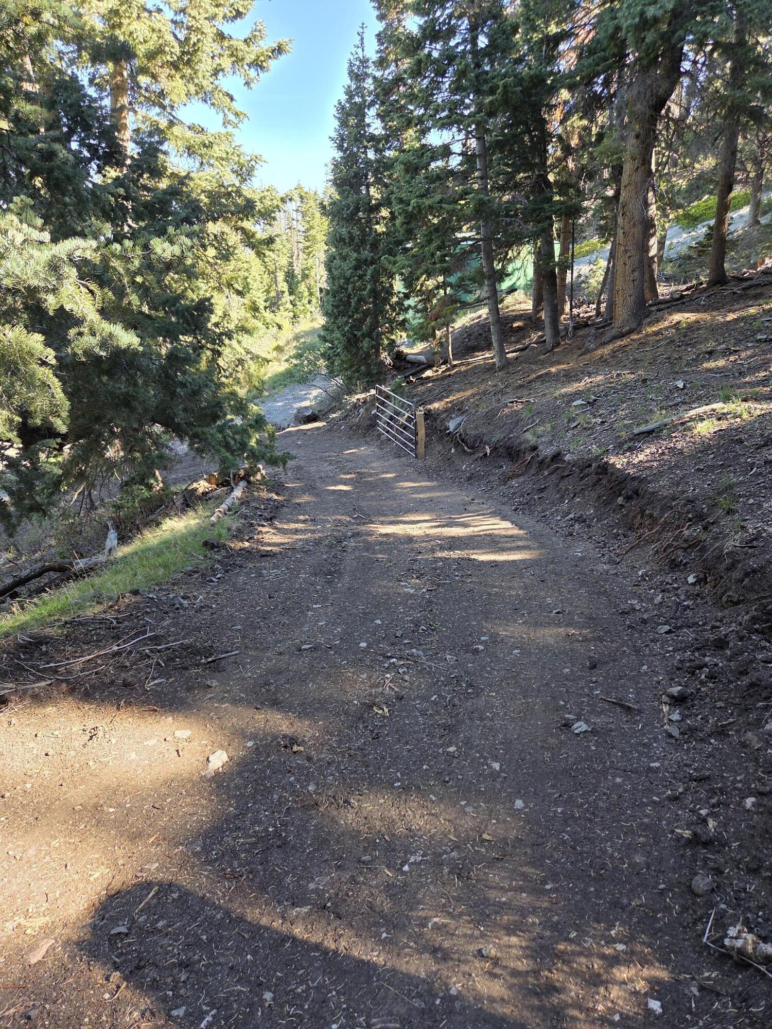 Lot 21 Braffits Creek 3200 Subdivisio, Lot 21, Summit, photo 22 of 24