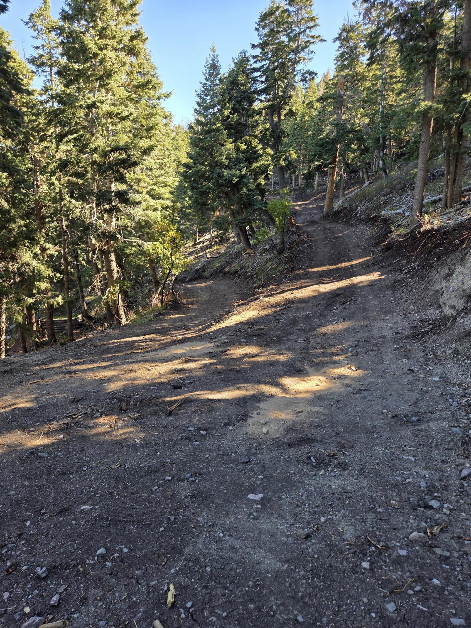 Lot 21 Braffits Creek 3200 Subdivisio, Lot 21, Summit, photo 21 of 24