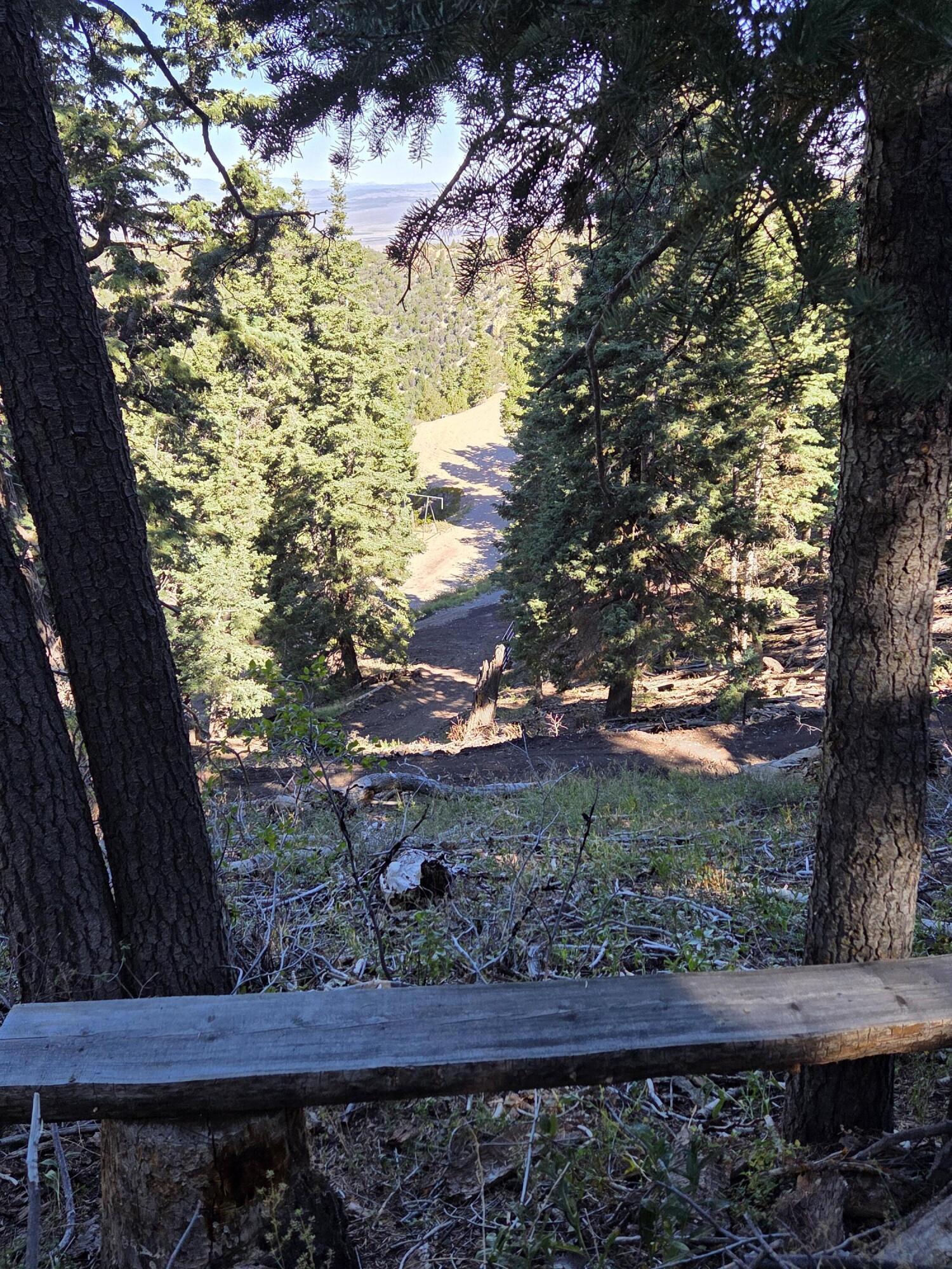 Lot 21 Braffits Creek 3200 Subdivisio, Lot 21, Summit, photo 13 of 24