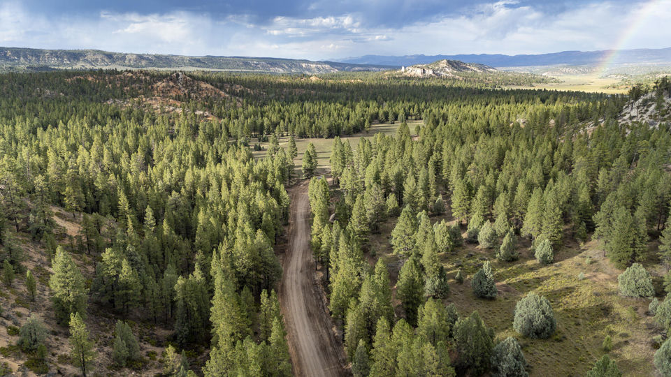 Lot # 4 Elk Ridge Estates Phase 6, Alton, photo 2