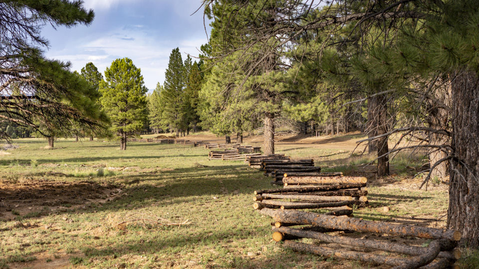 Lot # 9 Elk Ridge Estates Phase 6, Alton, photo 2
