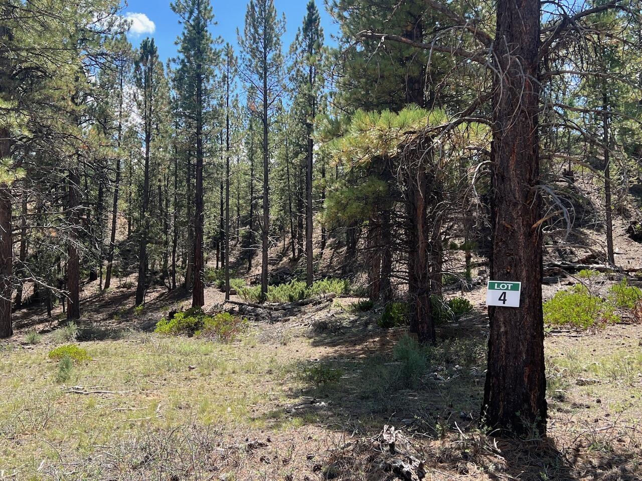 Lot # 4 Elk Ridge Estates Phase 6, Alton, photo 4 of 6