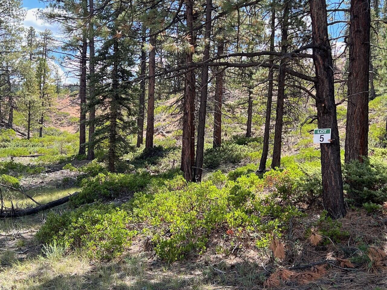 Lot # 5 Elk Ridge Estates Phase 6, Alton, photo 3 of 5