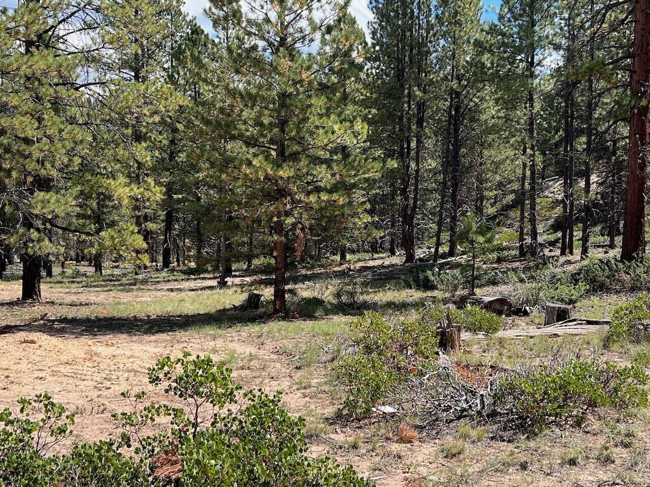 Lot # 5 Elk Ridge Estates Phase 6, Alton, photo 4 of 5