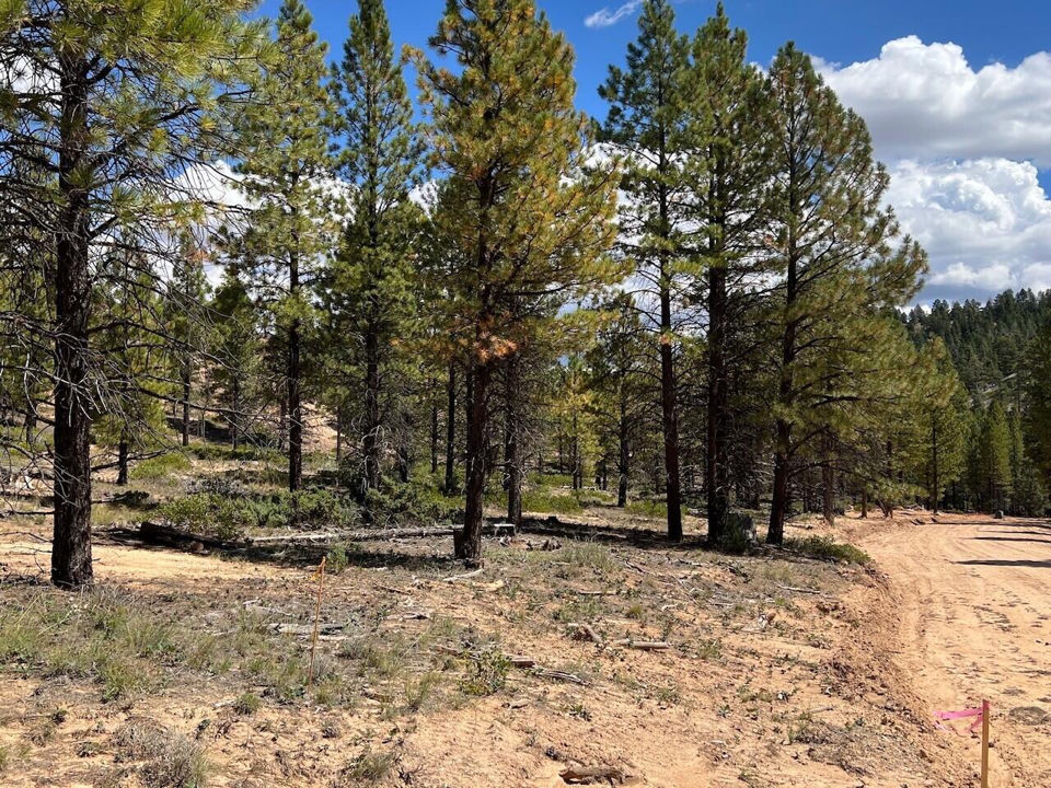 Lot # 7 Elk Ridge Estates Phase 6, Alton, photo 3