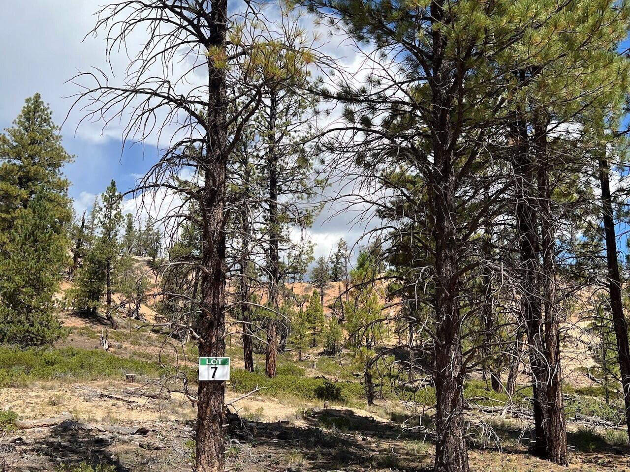 Lot # 7 Elk Ridge Estates Phase 6, Alton, photo 4 of 5