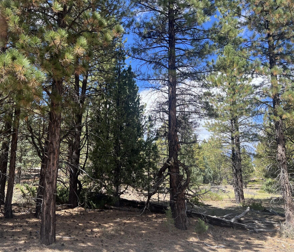 Lot # 8 Elk Ridge Estates Phase 6, Alton, photo 3
