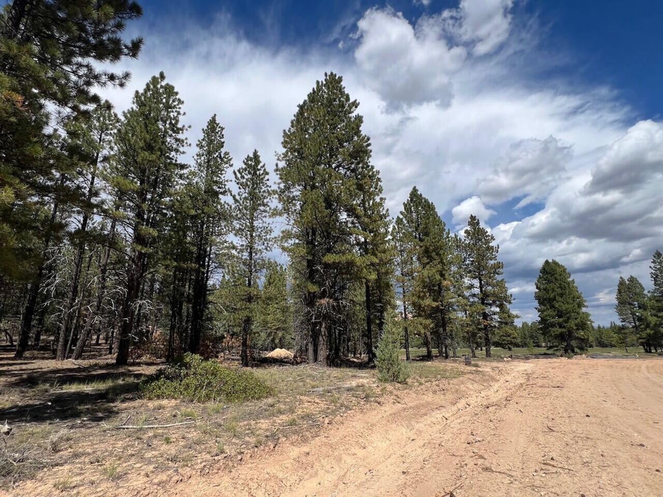 Lot # 9 Elk Ridge Estates Phase 6, Alton, photo 3
