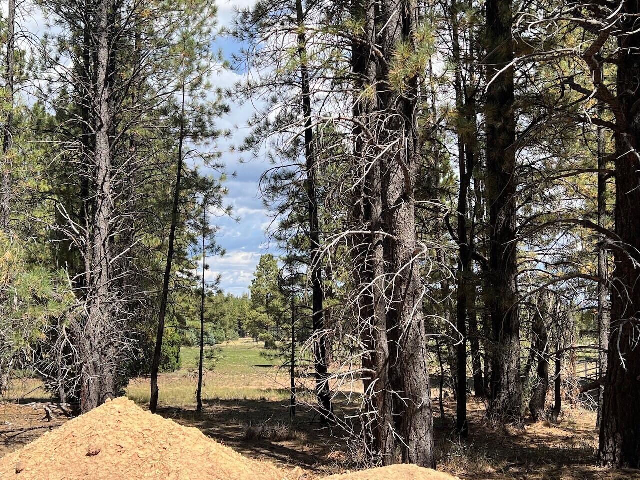 Lot # 9 Elk Ridge Estates Phase 6, Alton, photo 5 of 5