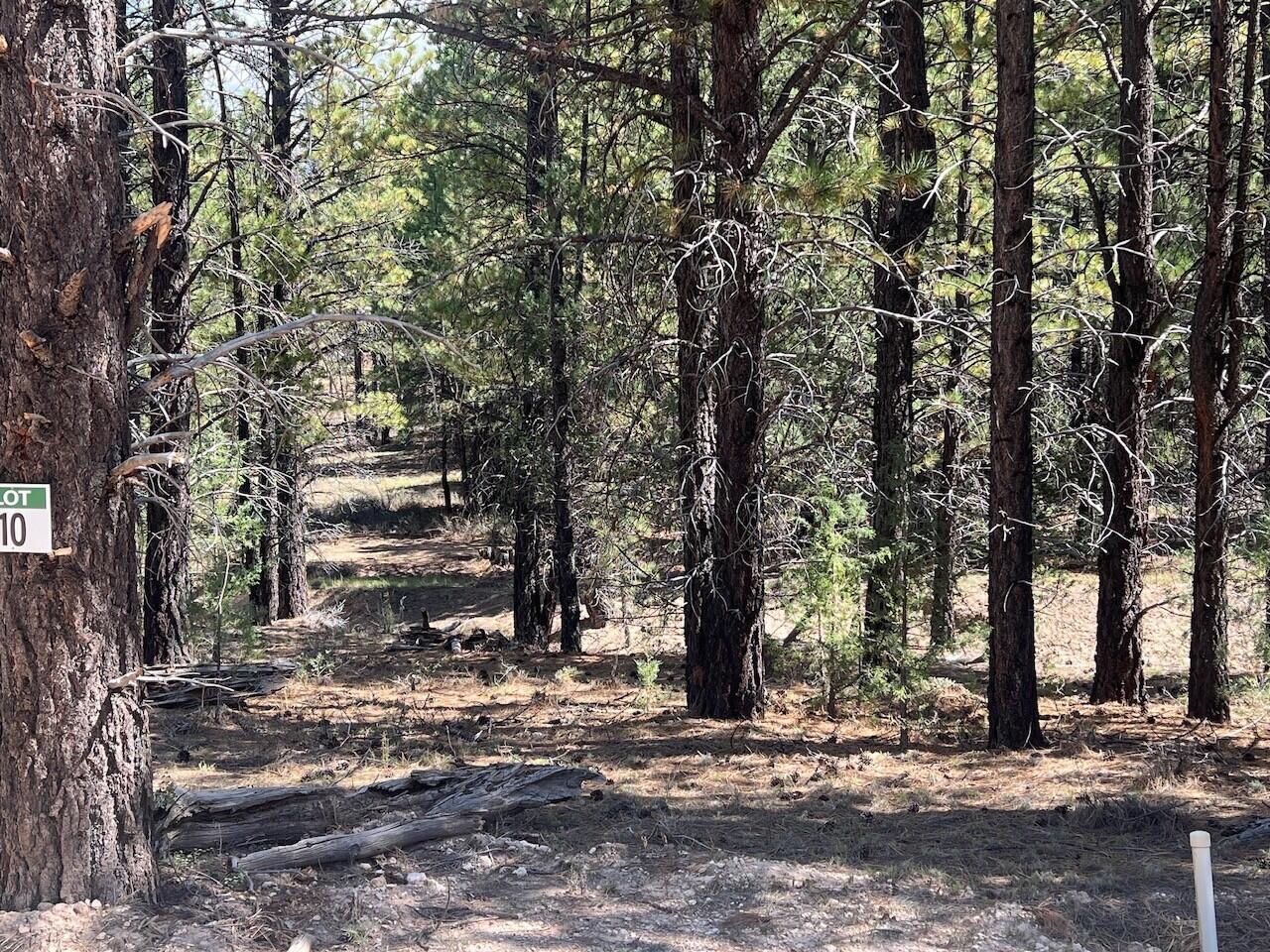 Lot # 10 Elk Ridge Estates Phase 6, Alton, photo 4 of 5