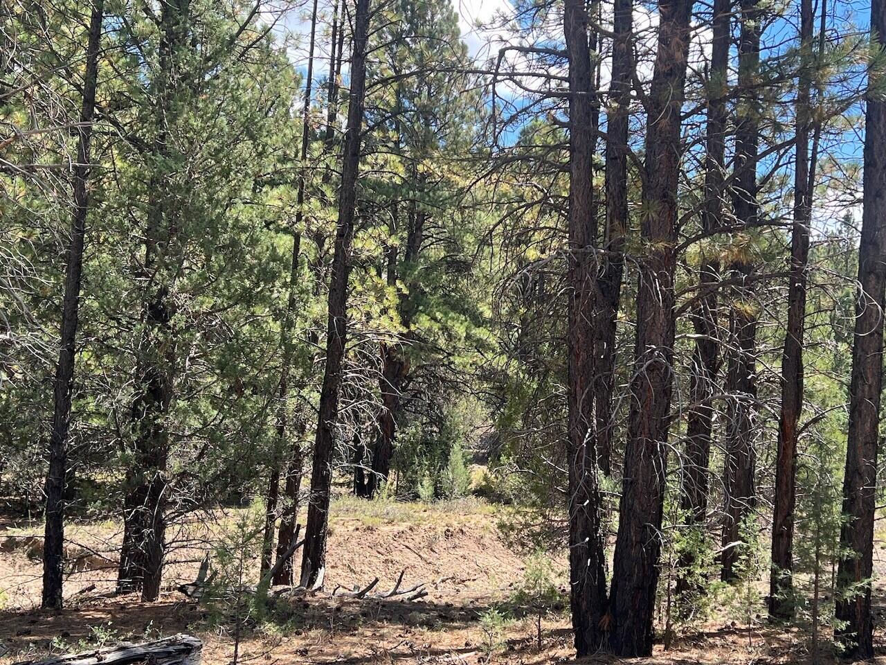 Lot # 10 Elk Ridge Estates Phase 6, Alton, photo 5 of 5
