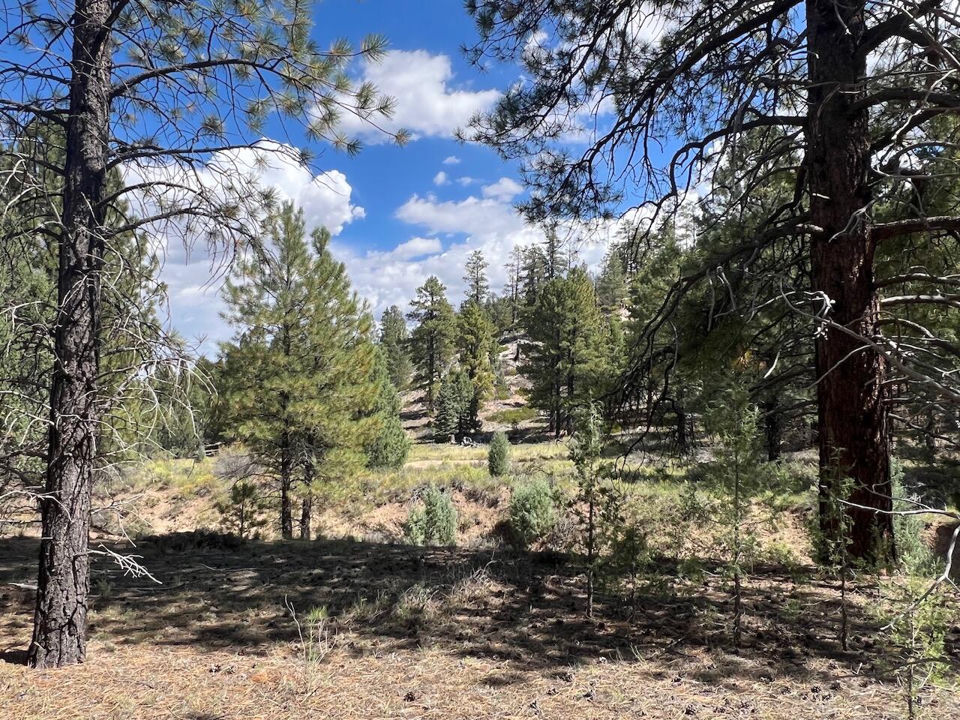 Lot # 11 Elk Ridge Estates Phase 6, Alton, photo 3