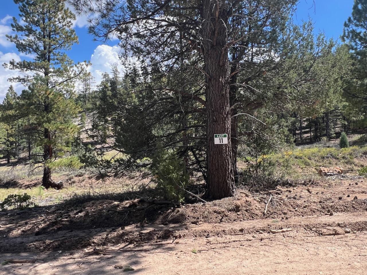 Lot # 11 Elk Ridge Estates Phase 6, Alton, photo 4 of 6