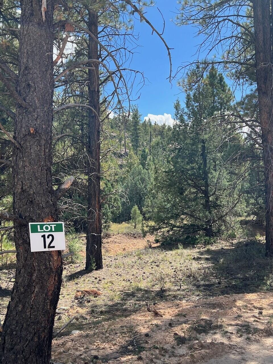 Lot # 12 Elk Ridge Estates Phase 6, Alton, photo 4 of 6