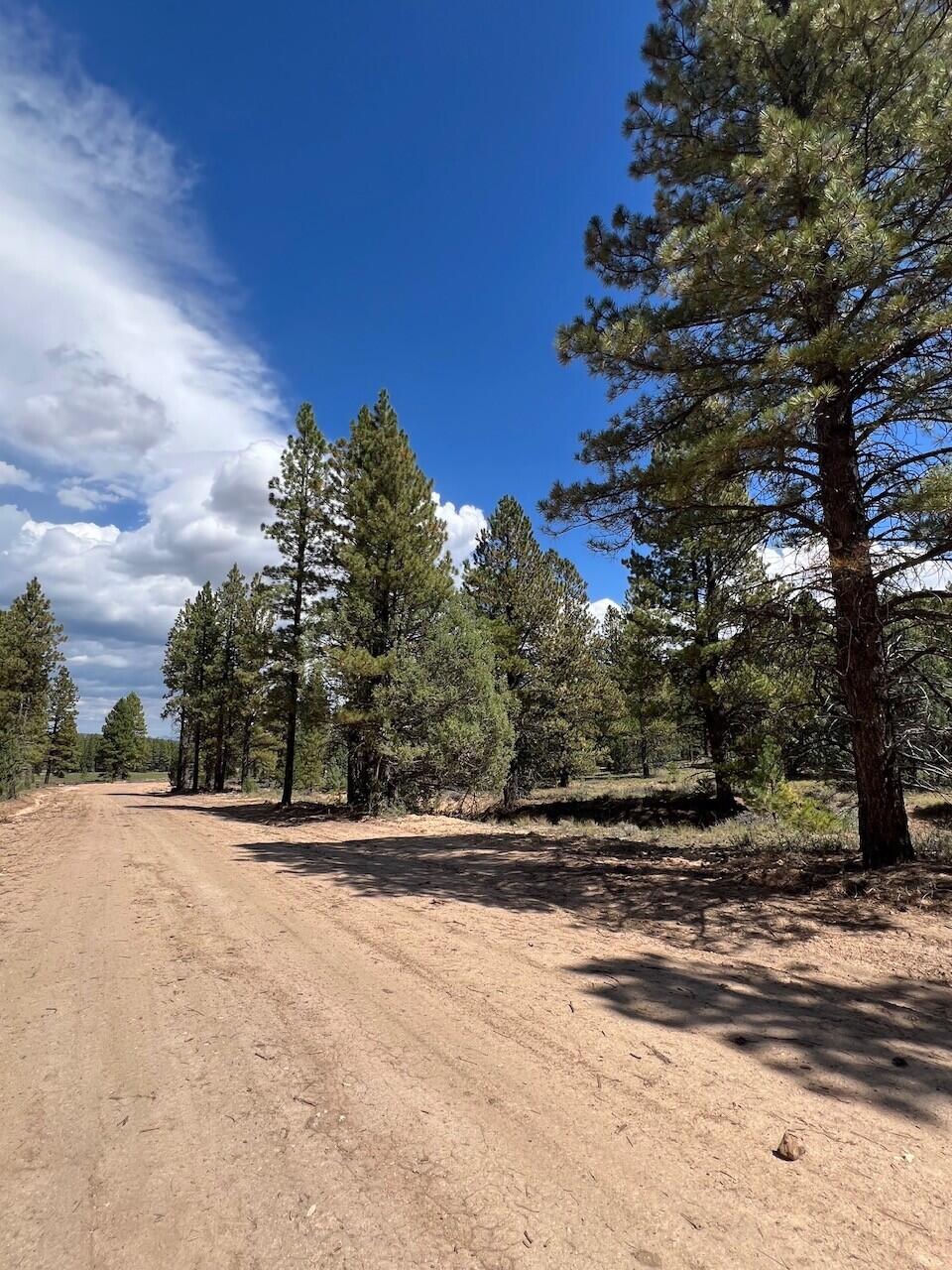Lot # 12 Elk Ridge Estates Phase 6, Alton, photo 6 of 6
